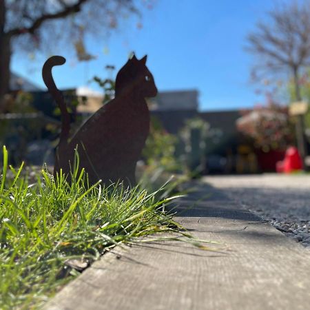 Le Jardin De Severine Hotel Chalon-sur-Saone Bagian luar foto